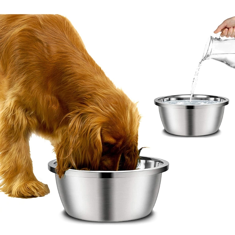 Karmniki dla psów ze stali nie – Royal Canin Food Medium recenzja i cena